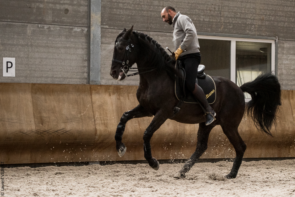 Miroir 20211120-0108