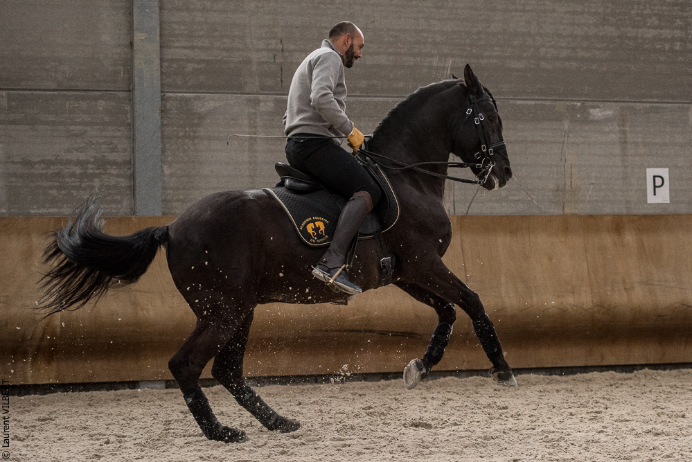 Miroir 20211120-0118