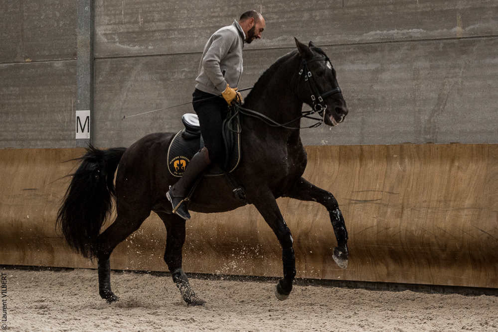 Miroir 20211120-0146