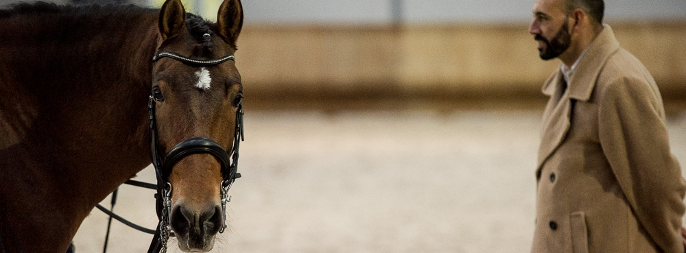 Miroir 20211120-0354