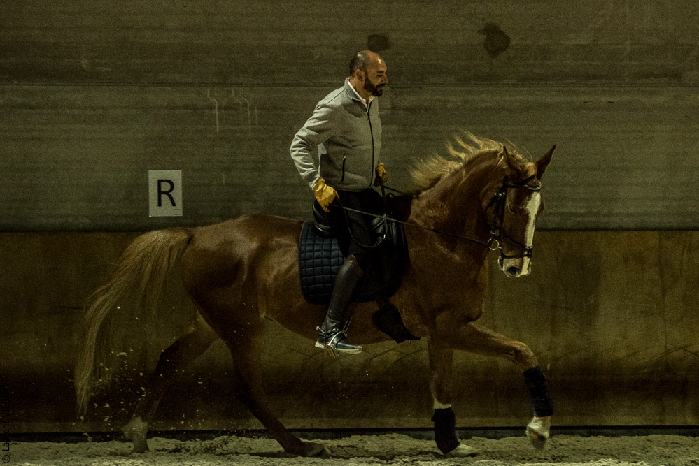 Miroir 20211120-0508