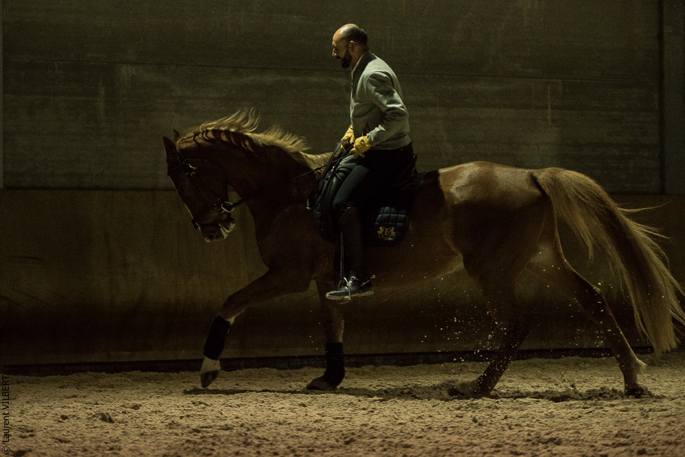 Miroir 20211120-0535