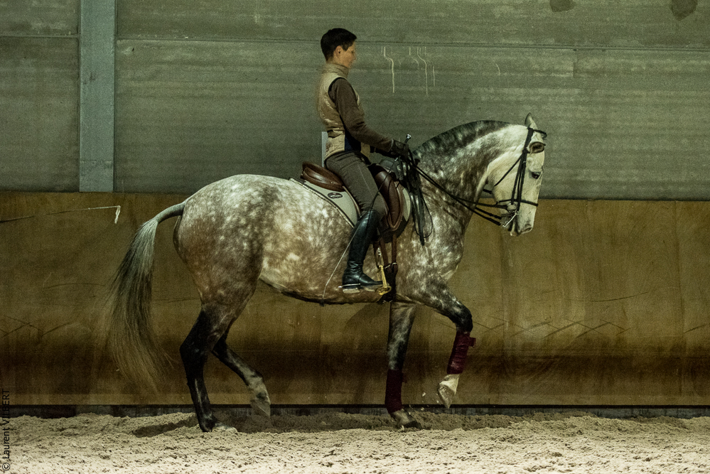 Miroir 20211120-0823