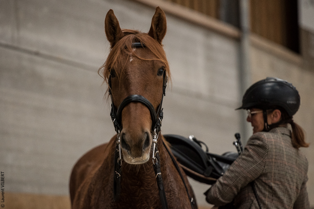 Miroir 20211121-1117