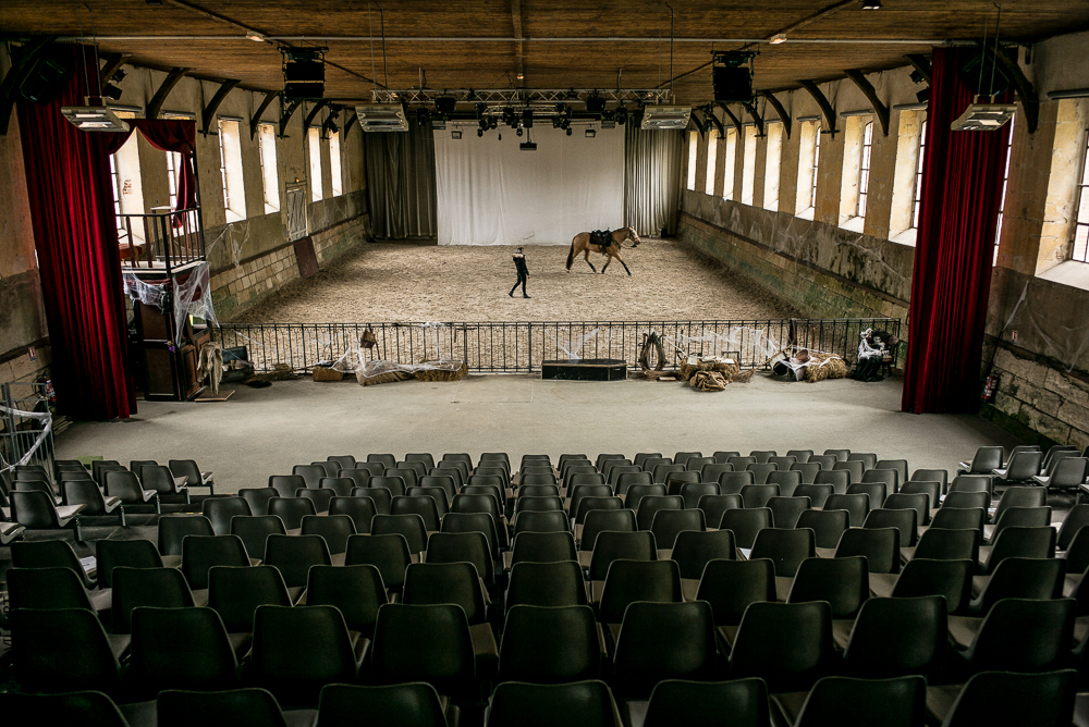 Haras Pin 20221103-0021