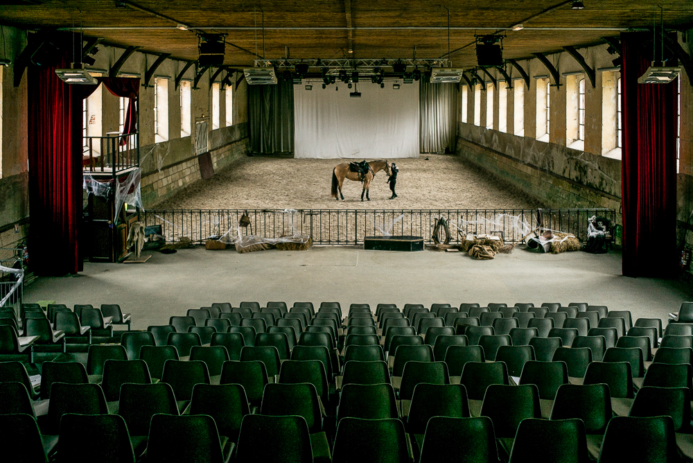 Haras Pin 20221103-0034