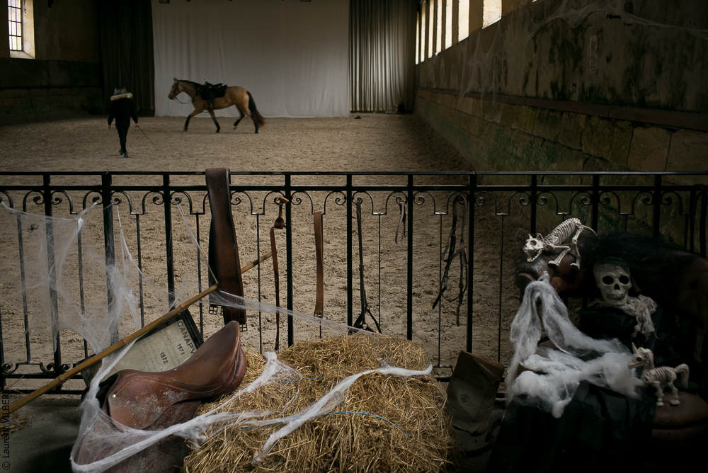 Haras Pin 20221103-0038