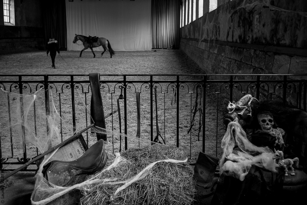 Haras Pin 20221103-0038