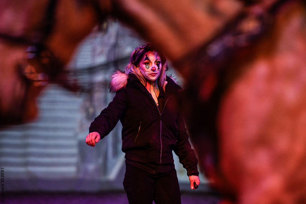 Haras Pin 20221103-0050