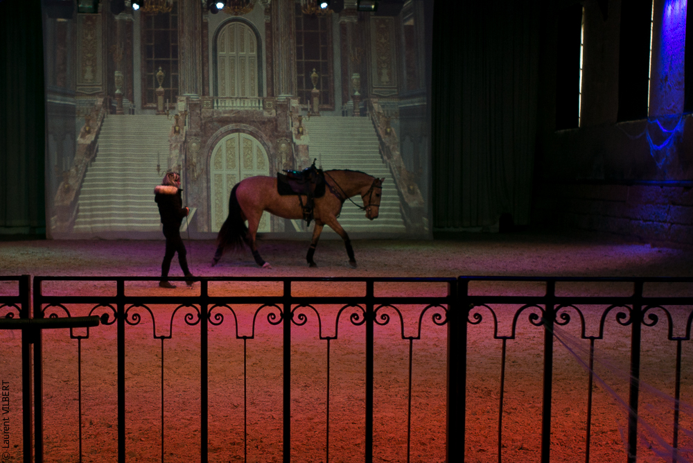 Haras Pin 20221103-0071