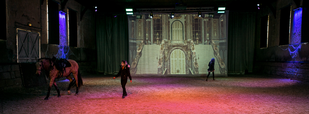 Haras Pin 20221103-0091