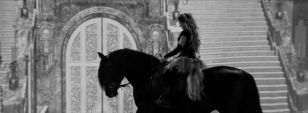 Haras Pin 20221103-0156