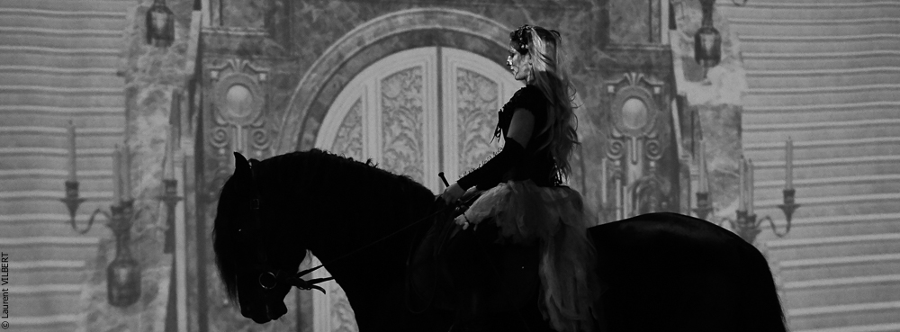 Haras Pin 20221103-0157