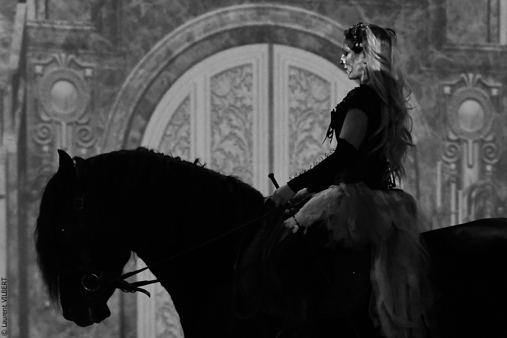 Haras Pin 20221103-0157