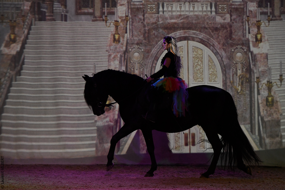 Haras Pin 20221103-0158