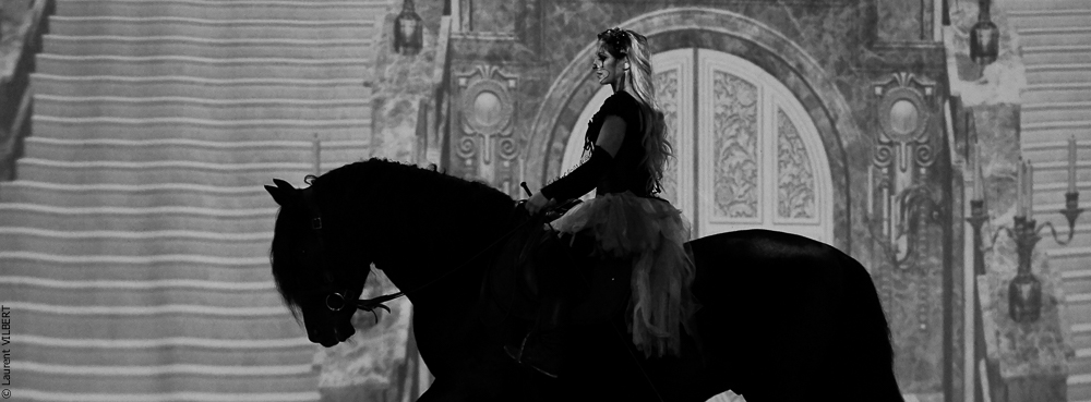 Haras Pin 20221103-0158