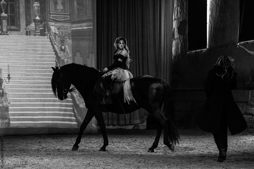 Haras Pin 20221103-0212