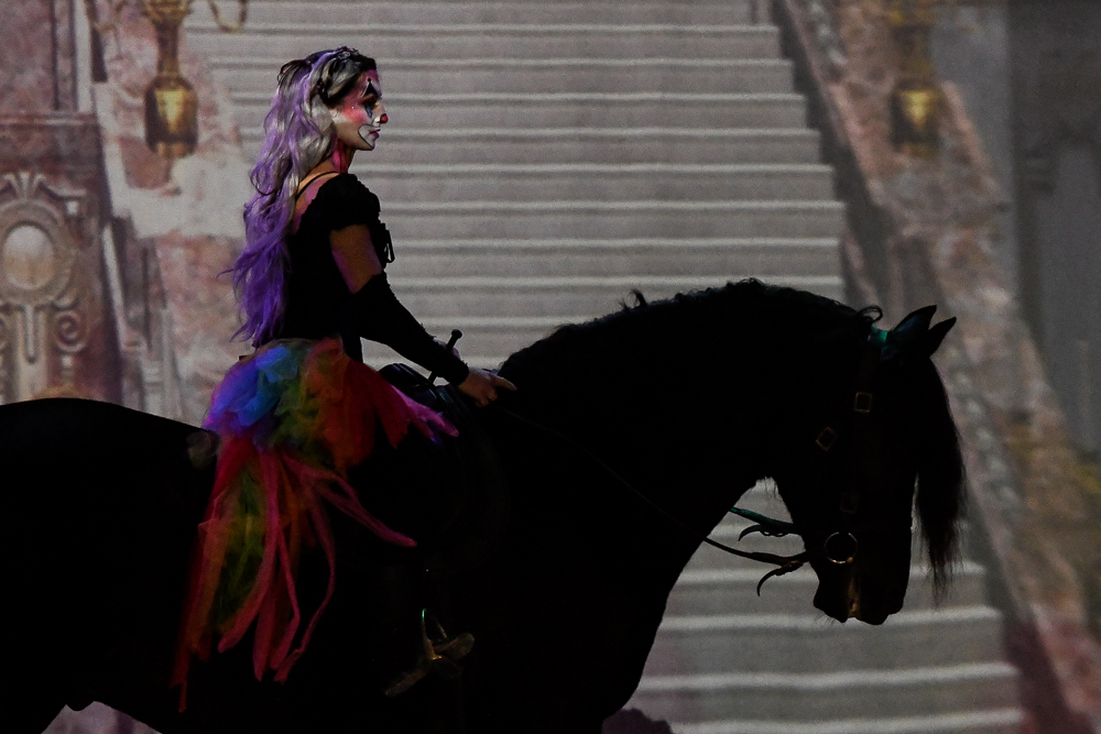 Haras Pin 20221103-0213