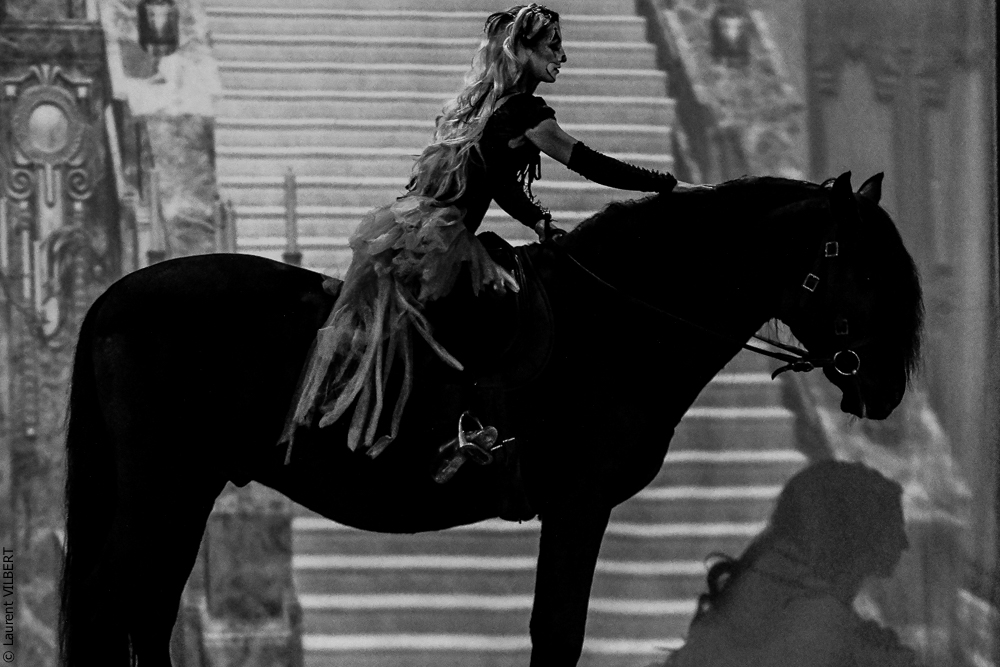 Haras Pin 20221103-0225