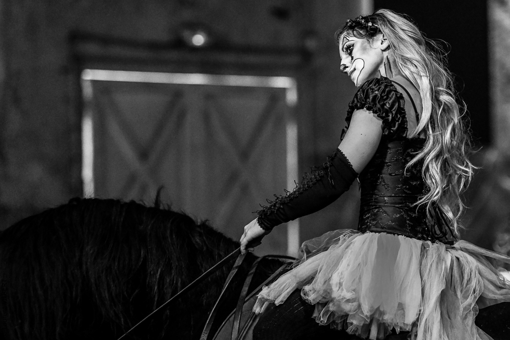 Haras Pin 20221103-0317