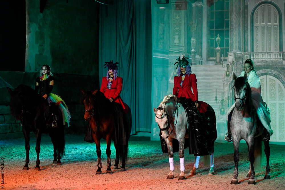 Haras Pin 20221103-0318