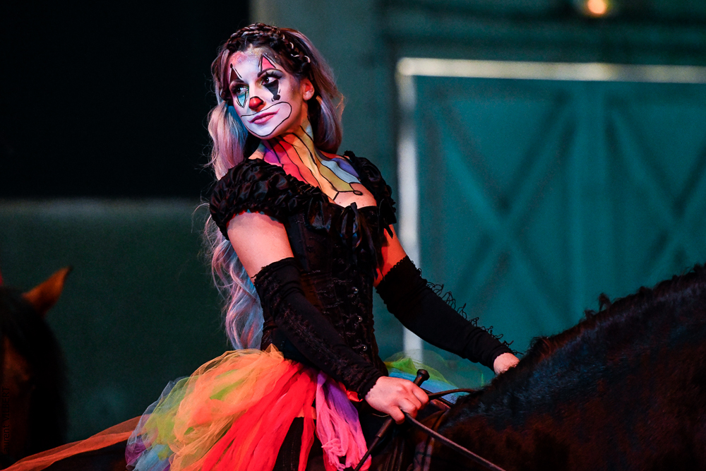 Haras Pin 20221103-0322