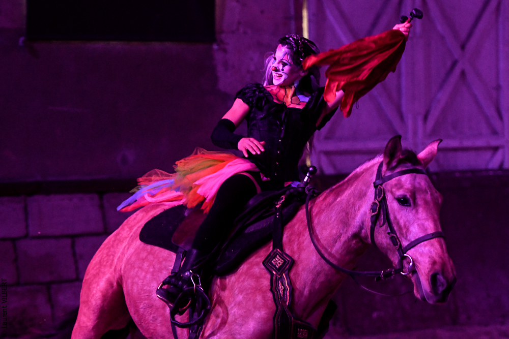 Haras Pin 20221103-0599