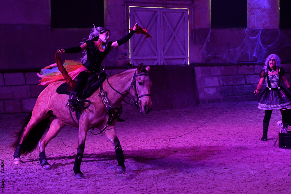 Haras Pin 20221103-0606