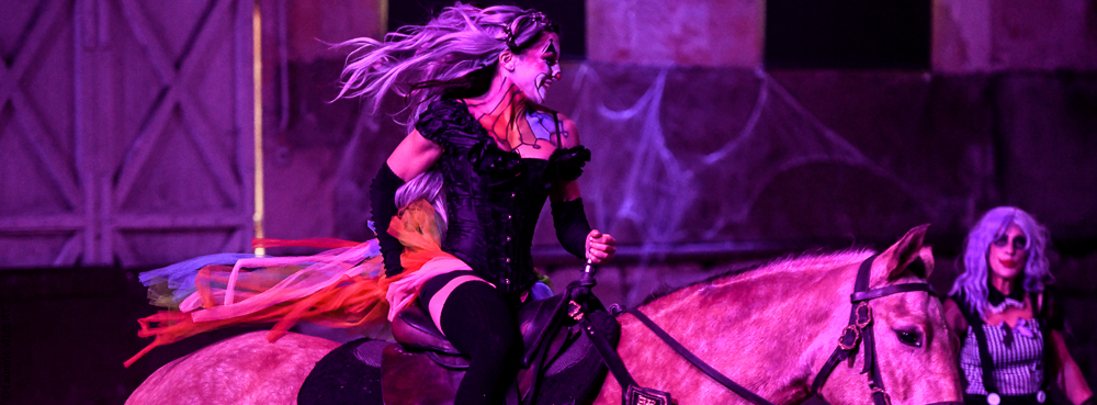 Haras Pin 20221103-0614