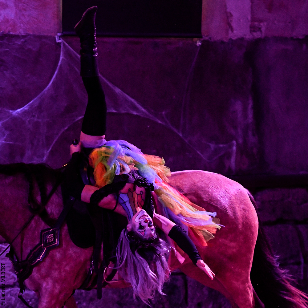 Haras Pin 20221103-0616