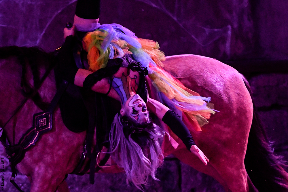 Haras Pin 20221103-0616