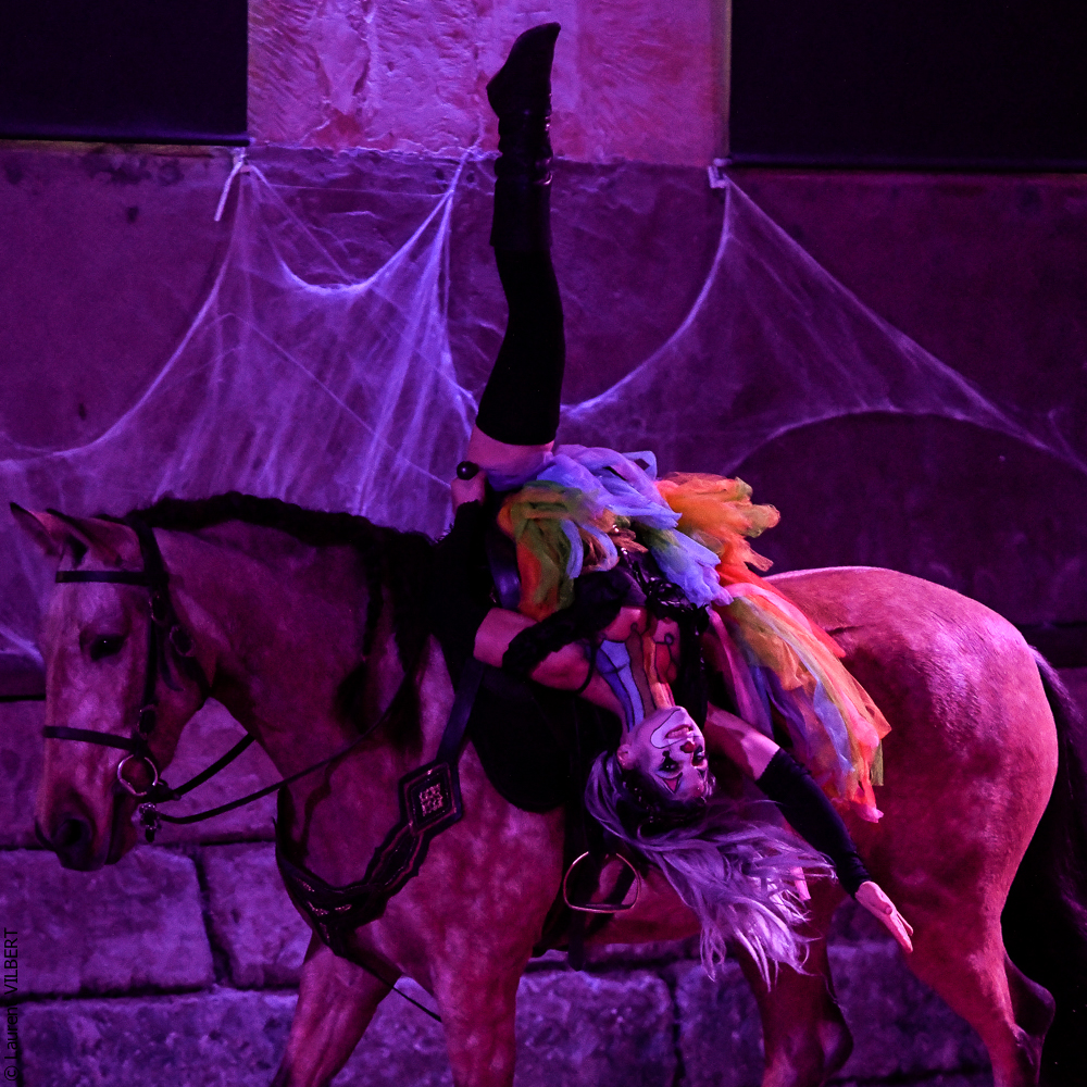 Haras Pin 20221103-0617