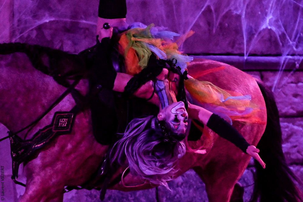 Haras Pin 20221103-0618