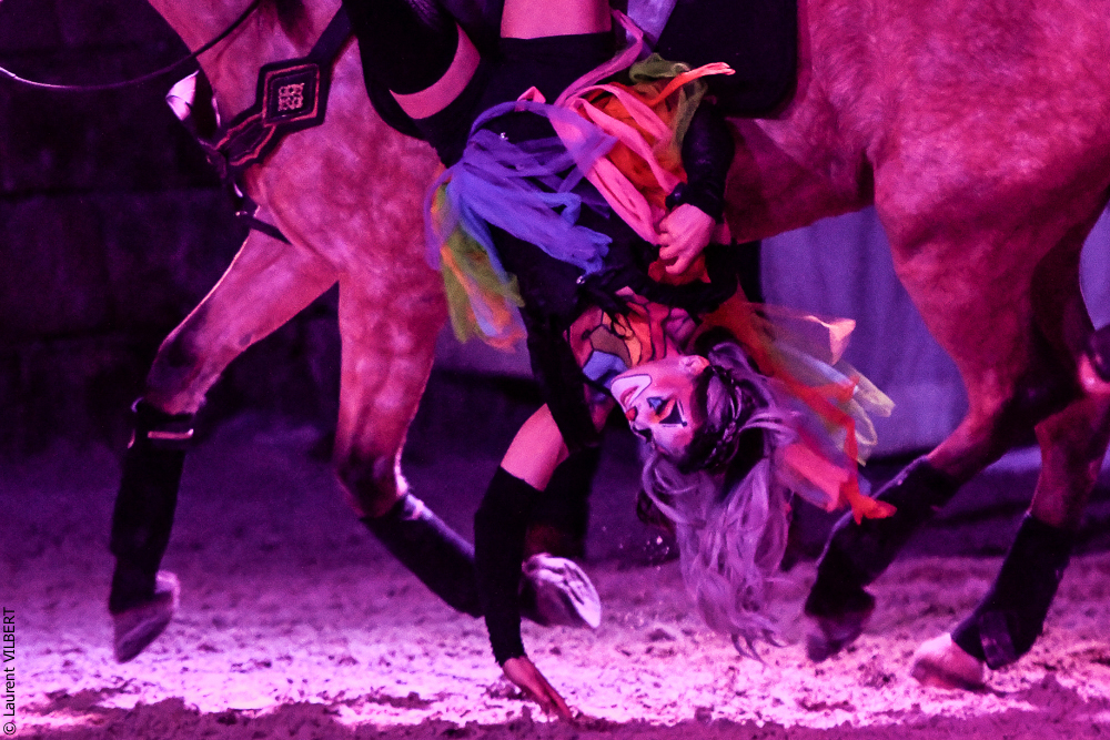 Haras Pin 20221103-0639