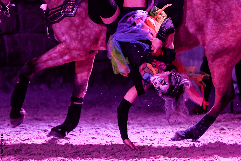 Haras Pin 20221103-0640