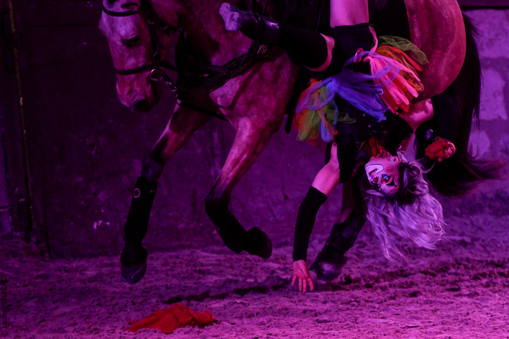 Haras Pin 20221103-0647