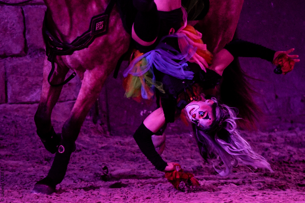 Haras Pin 20221103-0648