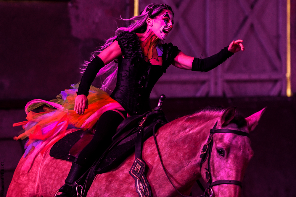 Haras Pin 20221103-0707