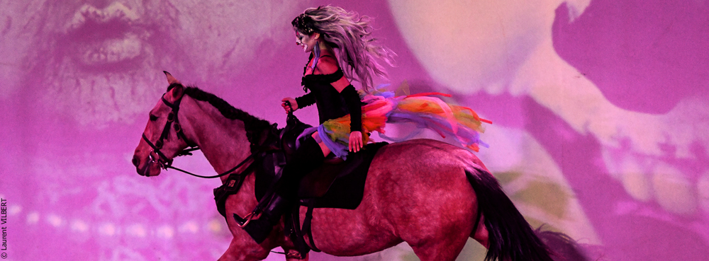 Haras Pin 20221103-0716