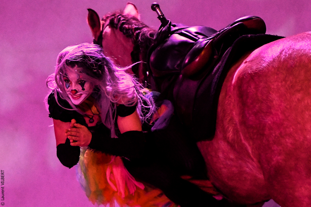 Haras Pin 20221103-0720