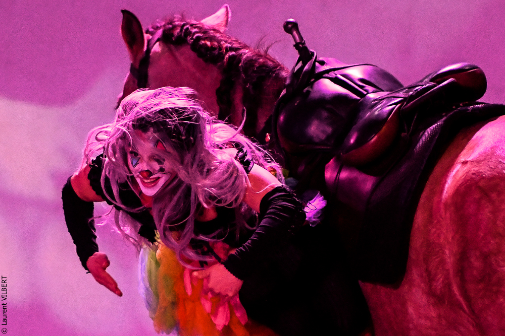 Haras Pin 20221103-0721