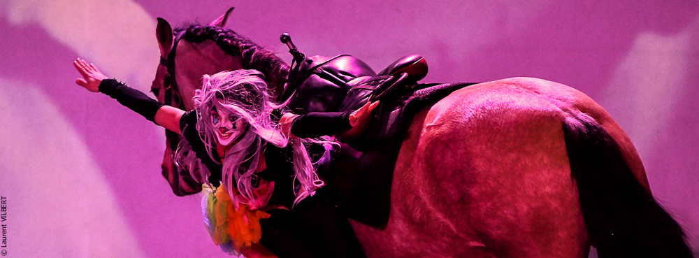 Haras Pin 20221103-0722