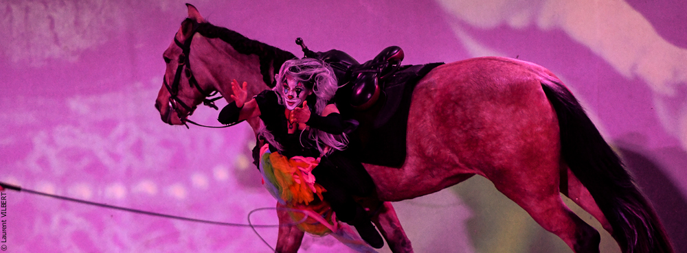 Haras Pin 20221103-0725