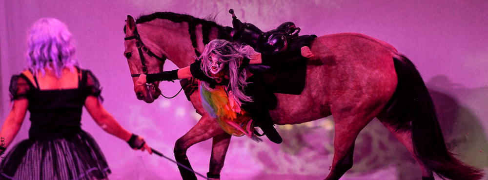 Haras Pin 20221103-0726