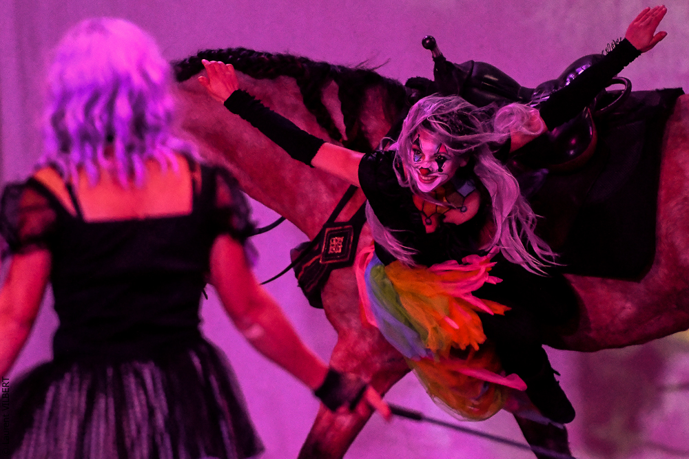 Haras Pin 20221103-0727