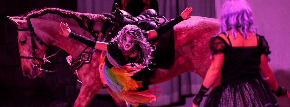 Haras Pin 20221103-0729