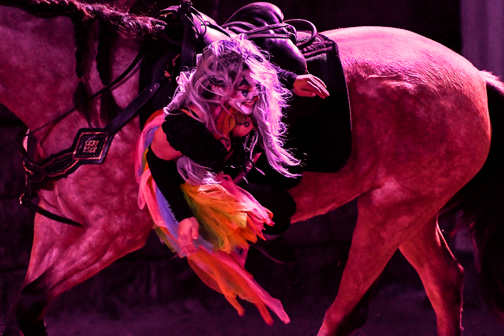 Haras Pin 20221103-0730