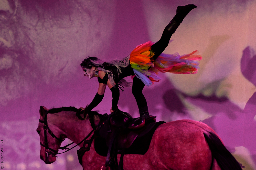 Haras Pin 20221103-0742