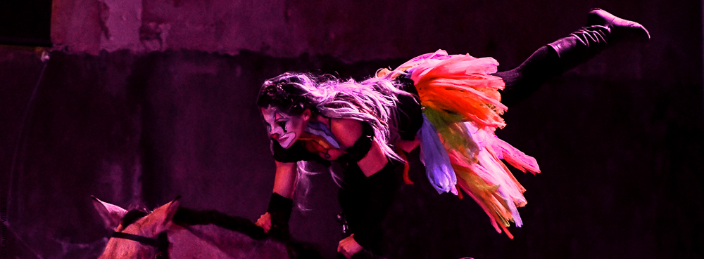 Haras Pin 20221103-0745