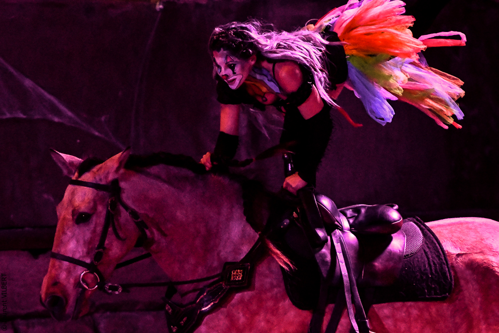 Haras Pin 20221103-0746